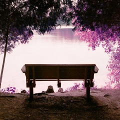 Bench by the Lake