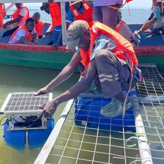 Can Artificial Intelligence stop mass fish deaths on Lake Victoria?
