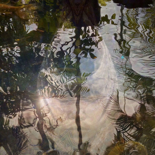 Rainforest Timez - [free download] -