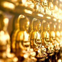 Geschichte des Glaubens: Ashoka und der Buddhismus