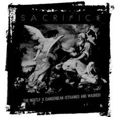 Sacrifice-The NGHTLF (washed and strained remix)