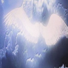 angels + #пустилкровь (greyrock, ang3lcry)