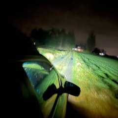 Couldn’t say forgotten (jackson via graham)