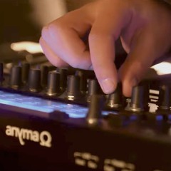 Anyma Omega Trumpet sections
