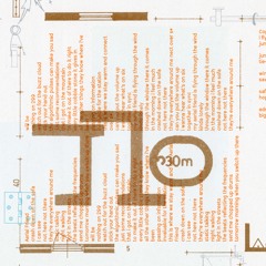 ity - Aerial Friend