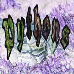 khush x big tola - python.mp3