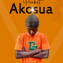 Pocket_-Akosua- prod by DonMadeIt