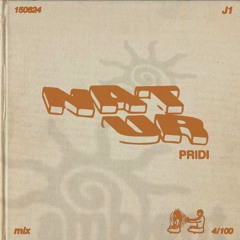 PRIDI MIX 150624