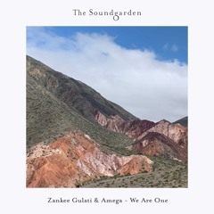 Premiere: Zankee Gulati - Tomorrow Will Be Better [The Soundgarden]