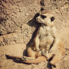 2022 - 04 - 28 - AngryMiniMe - Finger Beschäftitgungstherapie