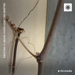 Salgari Records Radio Show w/ Poligra | TO-080425