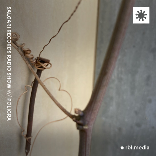 Salgari Records Radio Show w/ Poligra | TO-080425