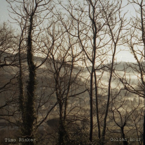 Timo Rinker - Golden Hour [W133D003] Snippets