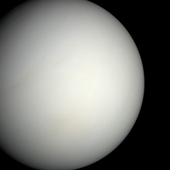 VENUS DISS TRACK (MAGICAL SHOWDOWN CHALLENGE 12)