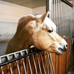 Monster album version.wav