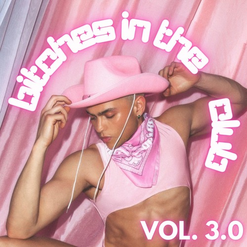 Bitches In The Club Vol 3