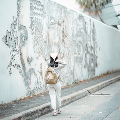 หินหยดลงน้ำ(adore) cover by K (sample)