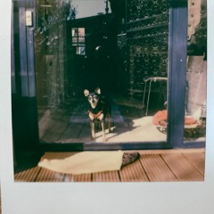 Money By The Drums (cover)