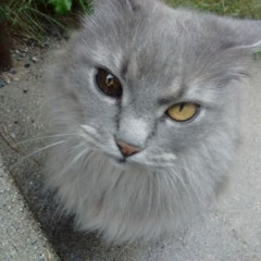 i need you prod. highsoulja