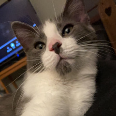 Baseball, But Better(voice memo)