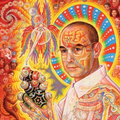 Brainøize - Bebert Hofmann