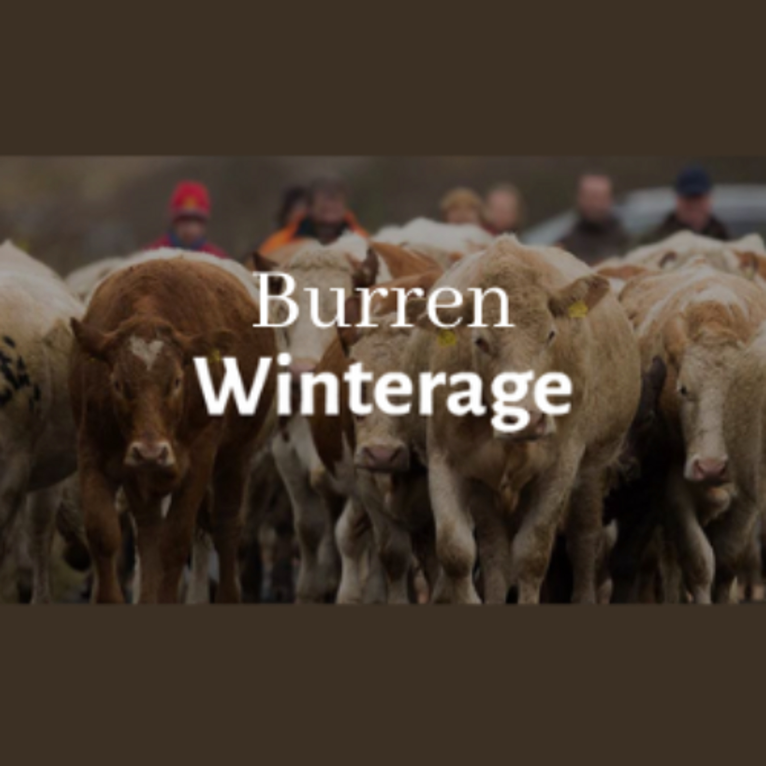 Burren Winterage Weekend 2025