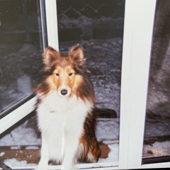 all of us was there(demo)