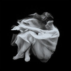 Myrmax, IVORYFRAME - 𝑠𝑐𝑎𝑟𝑠