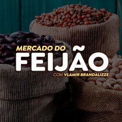 Preços do feijão voltaram a cair? Quando haverá nova valorização?