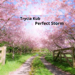 Perfect Storm