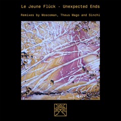 INCOMING : Le Jeune Fluck - Unexpected Ends #Sinchi