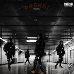 pagani - KANGUREK KAO