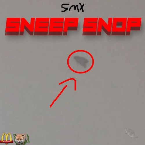 sneep snop lol