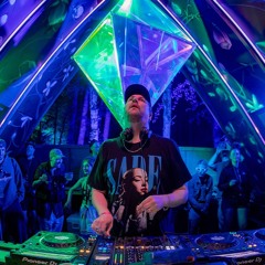 MACHINEDRUM - SUBTLE RADIO X BASSCOAST 2024