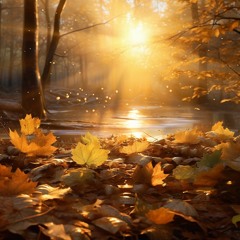 Golden Light Through the Leaves