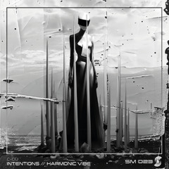 C-DU - Intentions