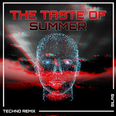 TASTE OF SUMMER - SILAS REMIX