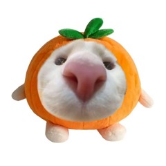 hanh-phuc-cuoi-cung.mp3