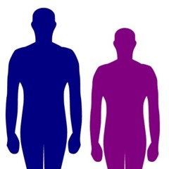 6foot