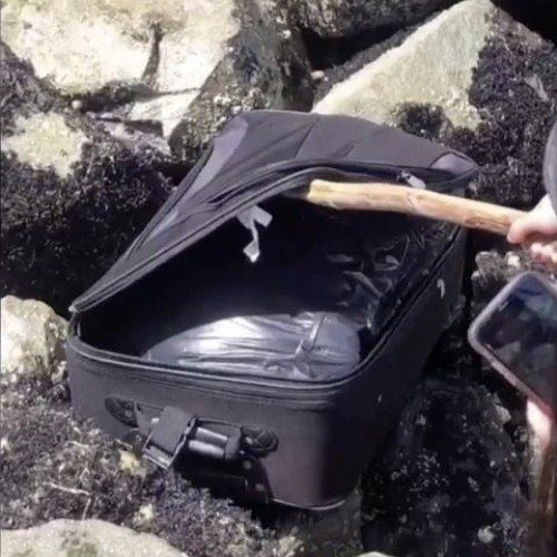 KAMASUTRA 9G - SUITCASE! (FEAT. GUAP SENSEI & KIRBY2COOL) [PROD. TRIPLESIXDELETE]