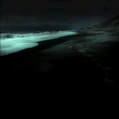 Long Whale Song