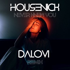 Housenick - Never Knew You (Dalovi Remix)