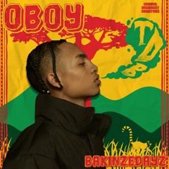 OBOY - TDB (BAKINZEDAYZ Reggae Remix)