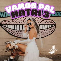 Vamos Pal Matri 3 - Dj Cosio ⚡️