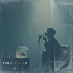 [11] Foolish Goldfish (Forever) • KNOWsutra Peace (Not War) Kindness Understands Bluesy Dub FOLK