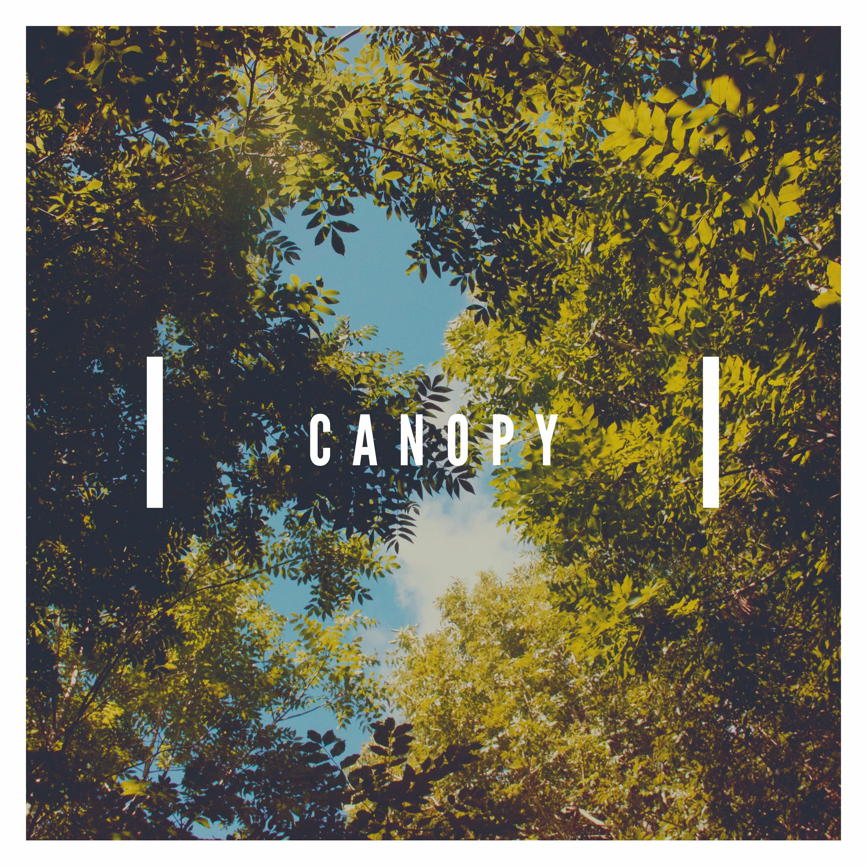Canopy episode artwork