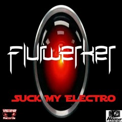 Flurwerker - Suck My Electro - Damage Control Records February 2021 Feature