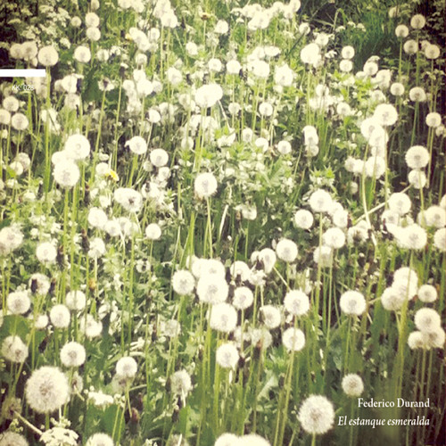 Iris, la Niña Invisible