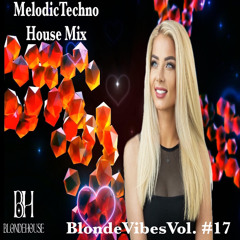 Melodic Techno House Mix | Blonde Vibes Vol.17