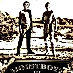 moistboyz - the tweaker (crackpanther remix)